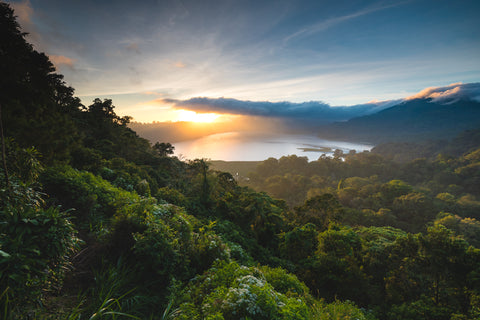 Dschungel mit Blick auf Gewässer und Sonnenuntergang